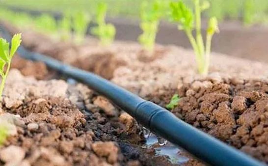 水肥一體化 水肥一體化